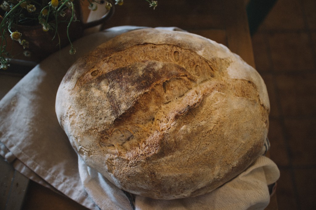 Above: Sourdough bread (photo by Monserrat Soldu).